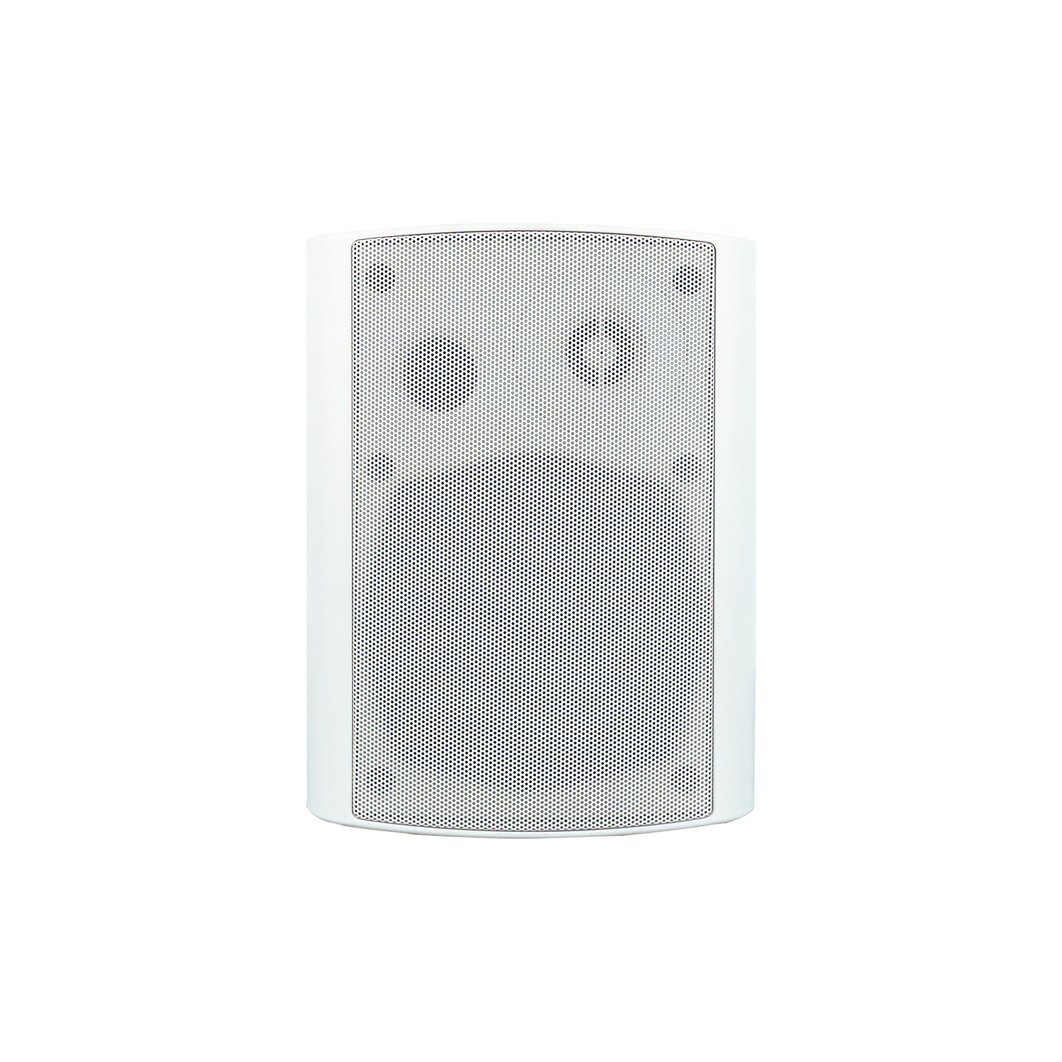 POE網(wǎng)絡(luò)壁掛音箱 OBT-POE9806